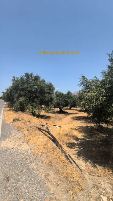 Photo 367026402