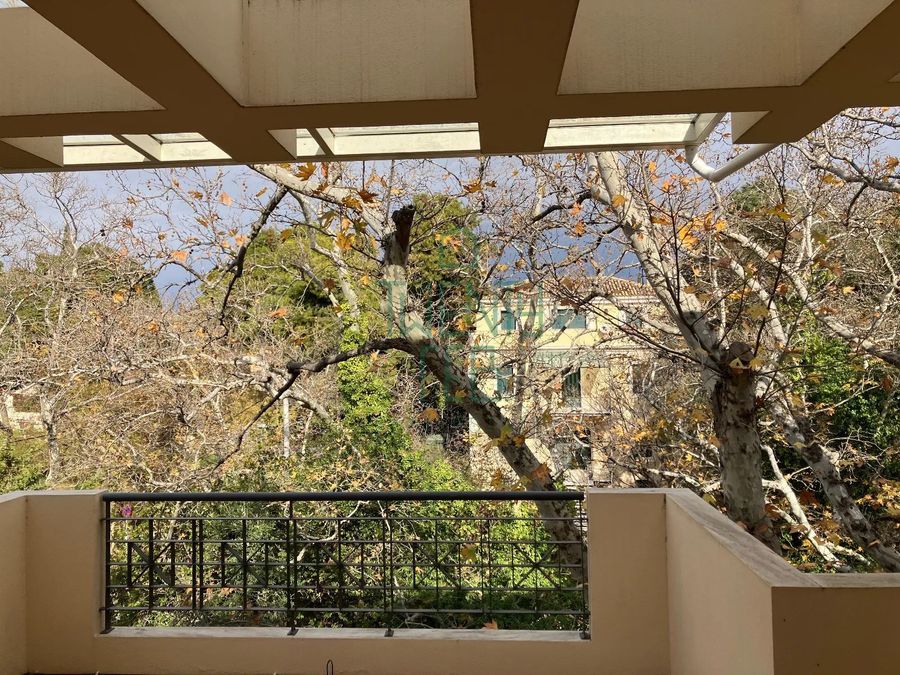 Photo 367302150