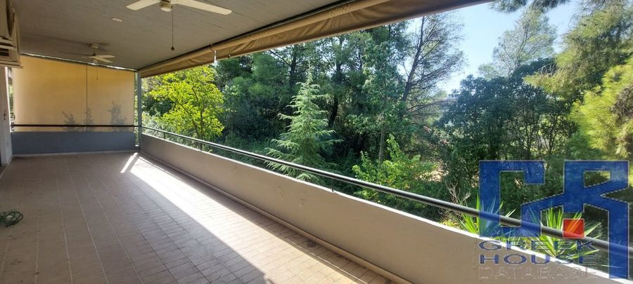 Photo 367558452