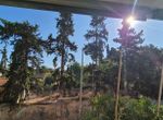 Photo 367694640