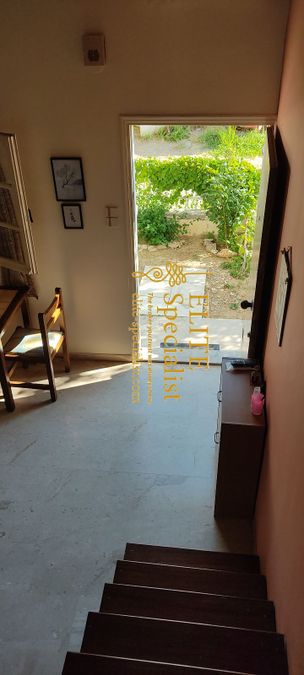 Photo 369195636