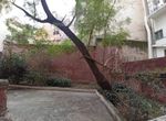 Photo 369766977