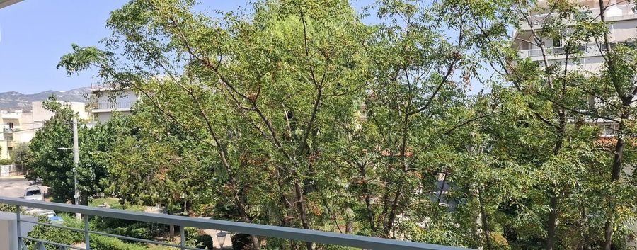 Photo 369870885