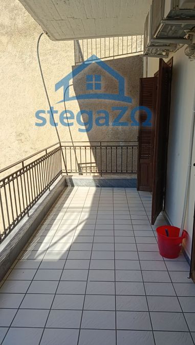 Photo 369908478