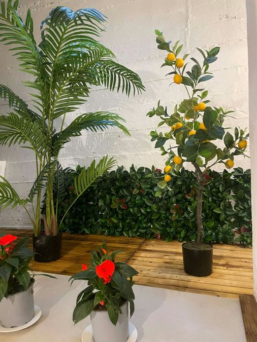 Photo 369964149
