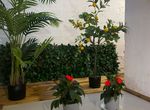 Photo 369964167