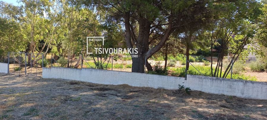 Photo 370073160