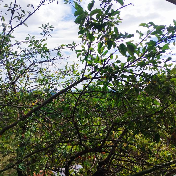 Photo 370297023