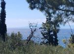 Photo 370501383
