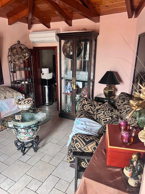 Photo 370534107