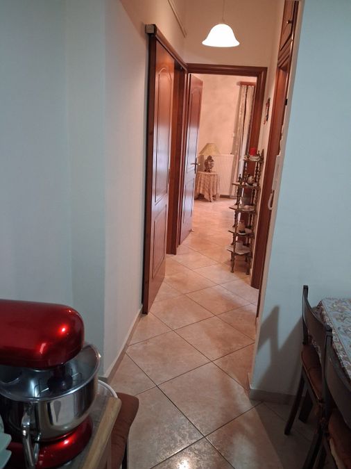 Photo 370728339
