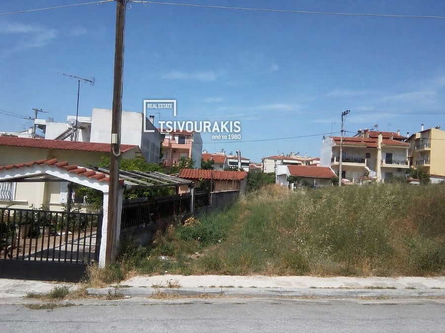 Photo 370868340