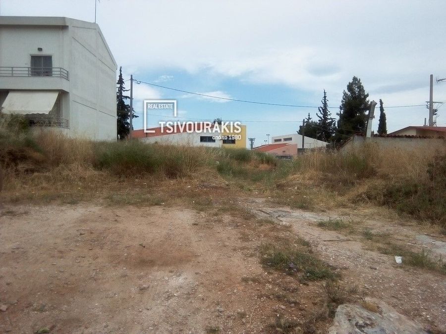Photo 370868343