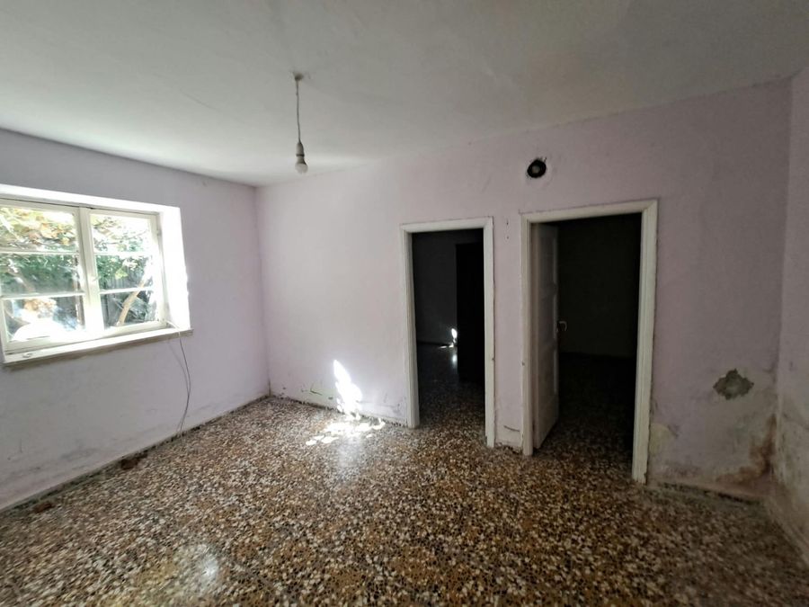 Photo 371392998