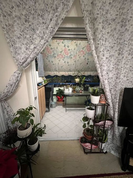 Photo 371572020