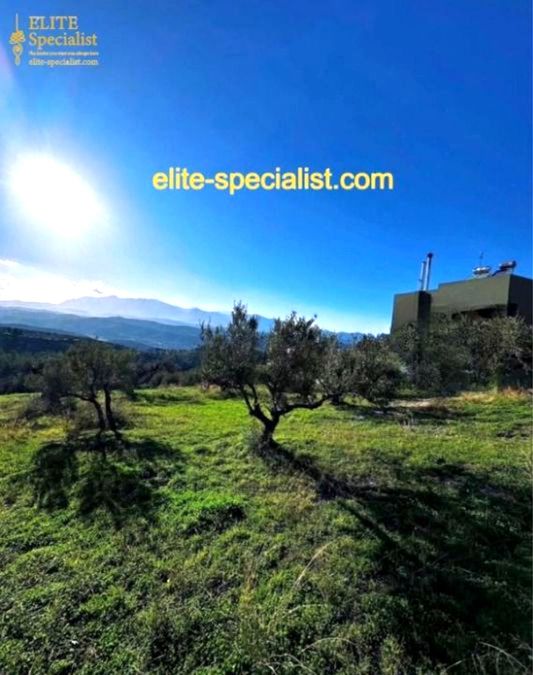 Photo 371572821
