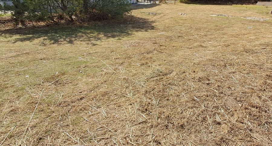 Photo 371996784