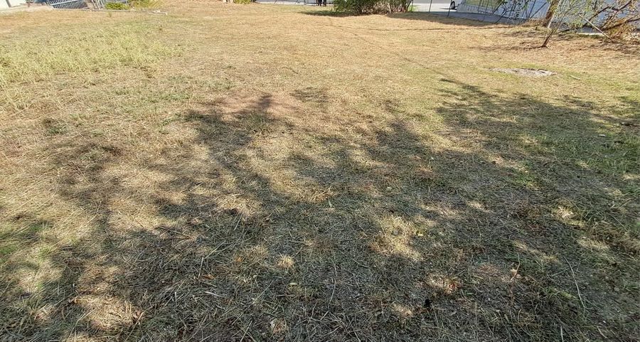 Photo 371996832