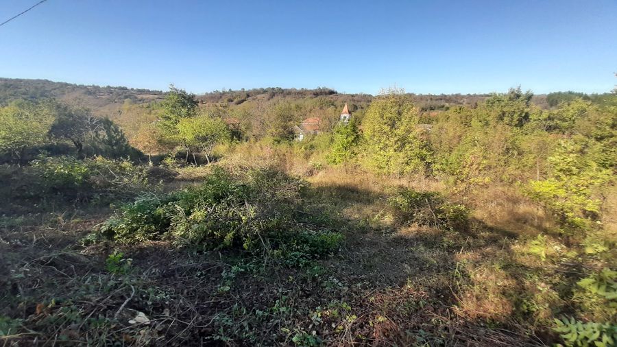 Снимка 372006876