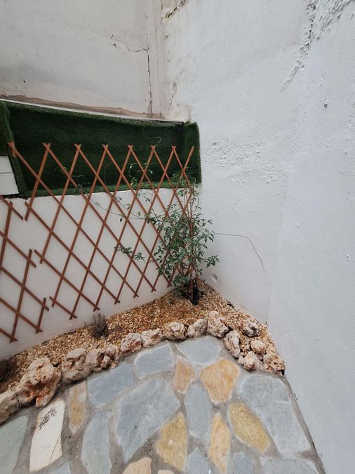Photo 372073830