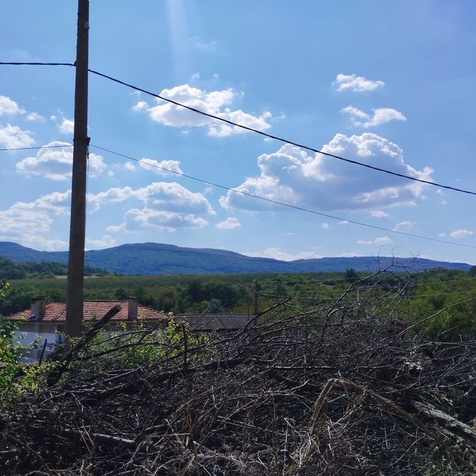 Снимка 372077292