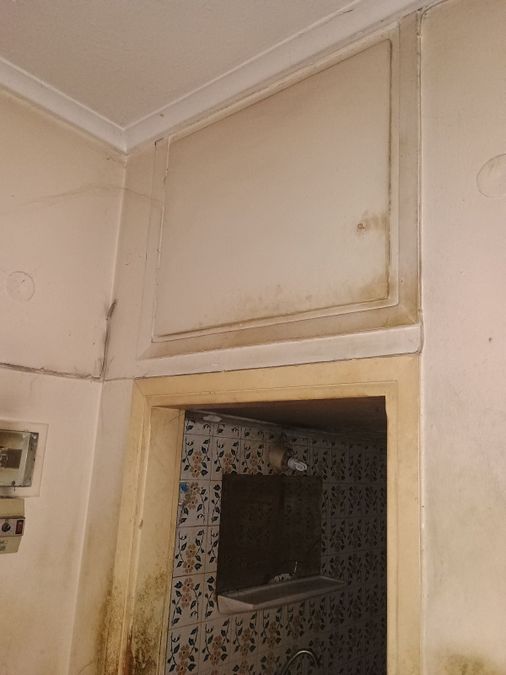 Photo 372110241