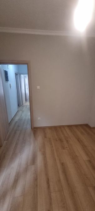 Photo 372142530