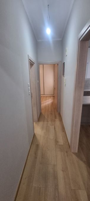 Photo 372142857