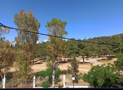 Photo 372272034