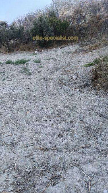 Photo 372278319