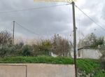 Photo 372278325