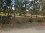 Photo 372290991