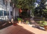 Foto 372393039