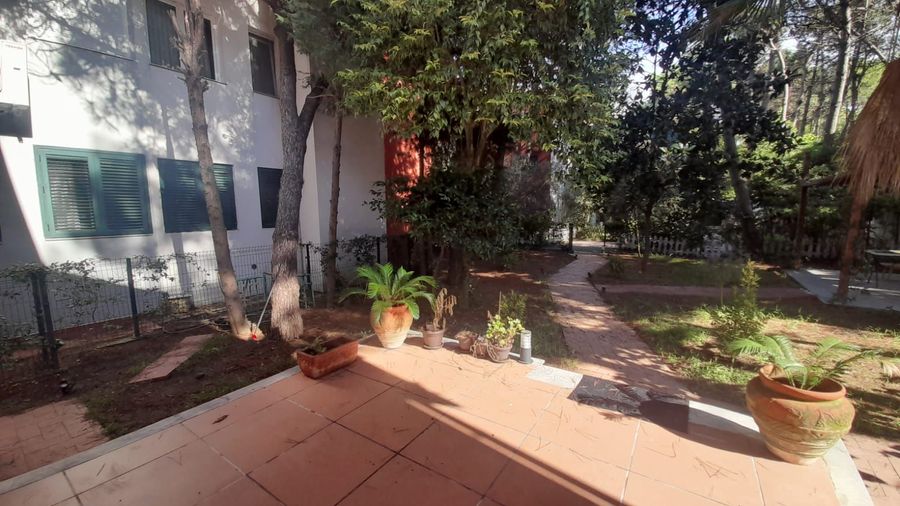 Foto 372393039
