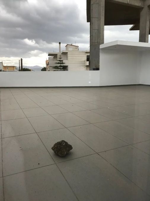 Photo 372646245