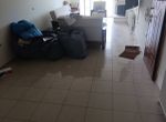 Photo 372798981