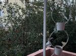 Photo 372998547