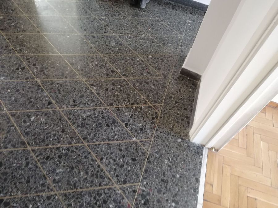 Photo 373853742