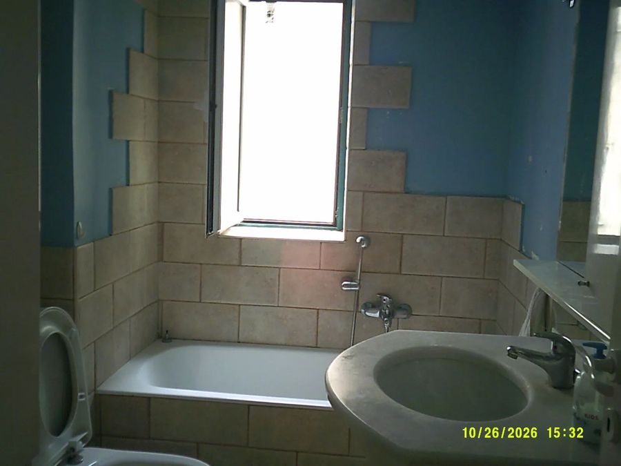 Photo 373972503