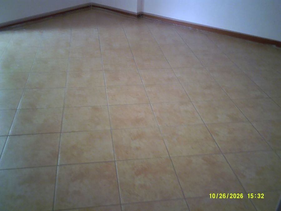 Photo 373972566