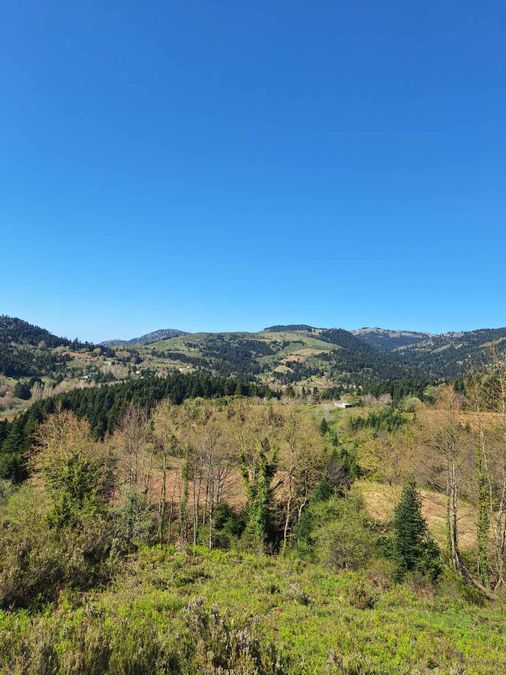 Photo 374062728