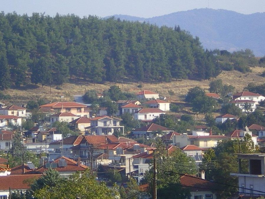 Αποτέλεσμα εικόνας για ασκος θεσσαλονικης"