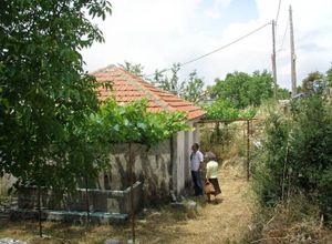 Μονοκατοικία προς πώληση Σάμη (Κεφαλονιά) 50 τ.μ. 1 Υπνοδωμάτιο