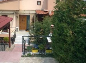 Μεζονέτα, Κέντρο