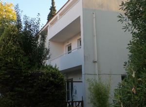 Μεζονέτα, Κέντρο