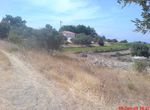 Photo 502701