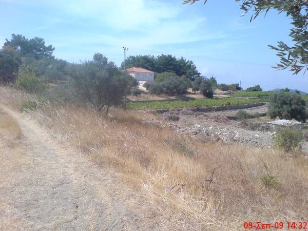 Photo 502701