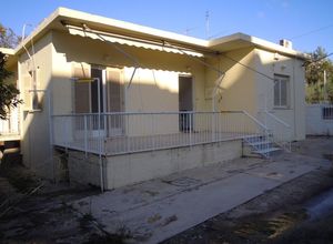 Detached House, Kifisia