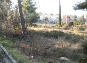 Οικόπεδο, Συνοικισμός Νόμου 751