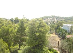 Μονοκατοικία προς πώληση Φραγκολίμανο (Σολύγεια) 100 τ.μ. 3 Υπνοδωμάτια